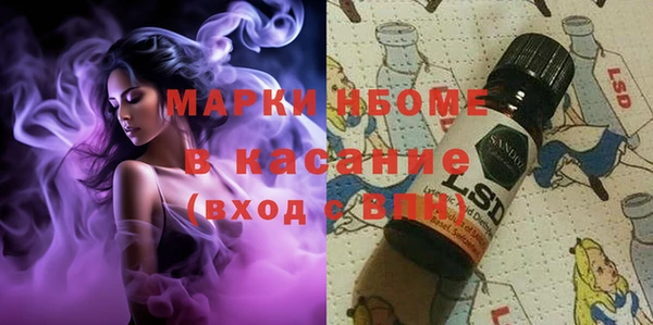 трава Аркадак