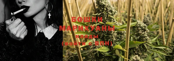 трава Аркадак