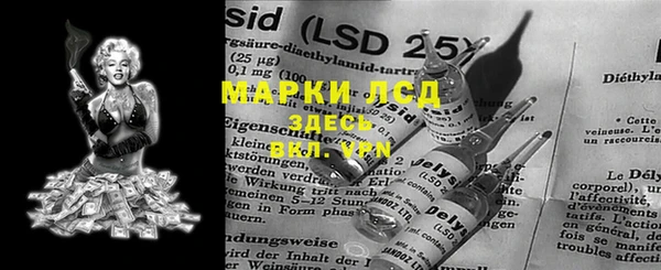 трава Аркадак