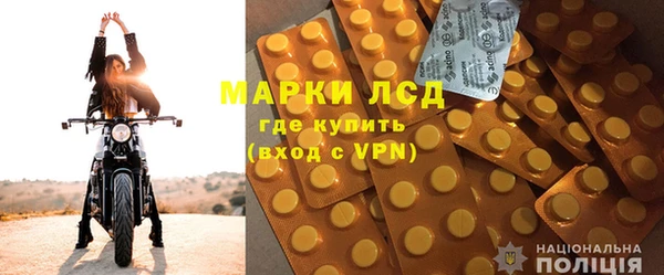 трава Аркадак