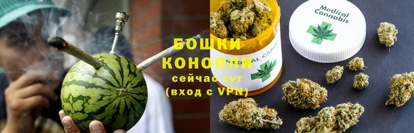 трава Аркадак